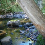 lostriver