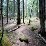 trails